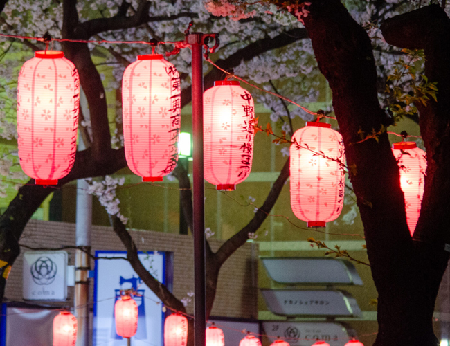 提灯協賛（中野通り沿い）の製品画像