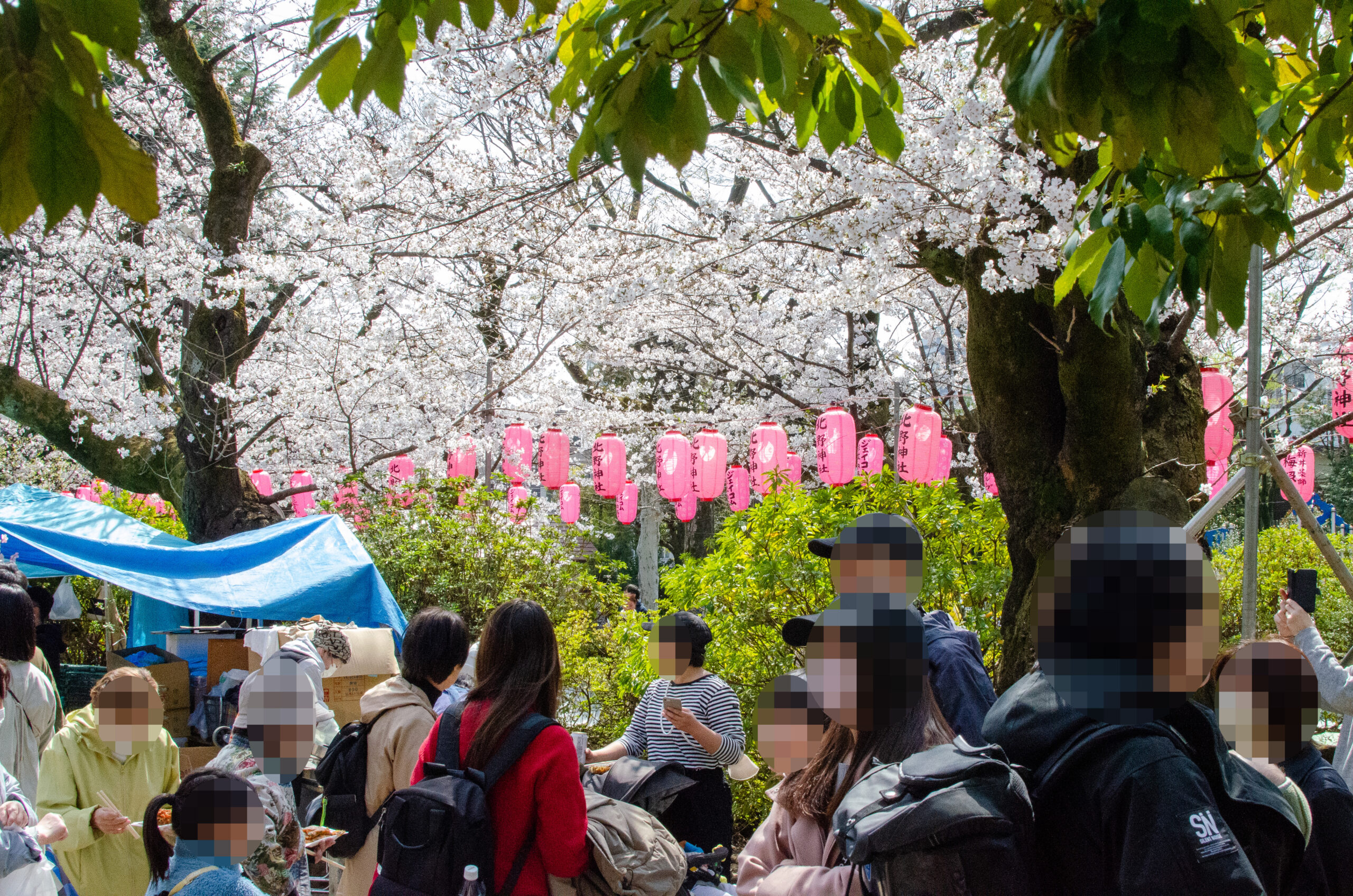 提灯協賛（新井薬師公園）の製品画像