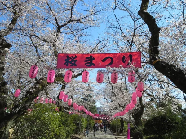 提灯協賛（新井薬師公園）